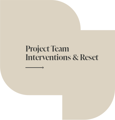 Project Team Interventions & Reset